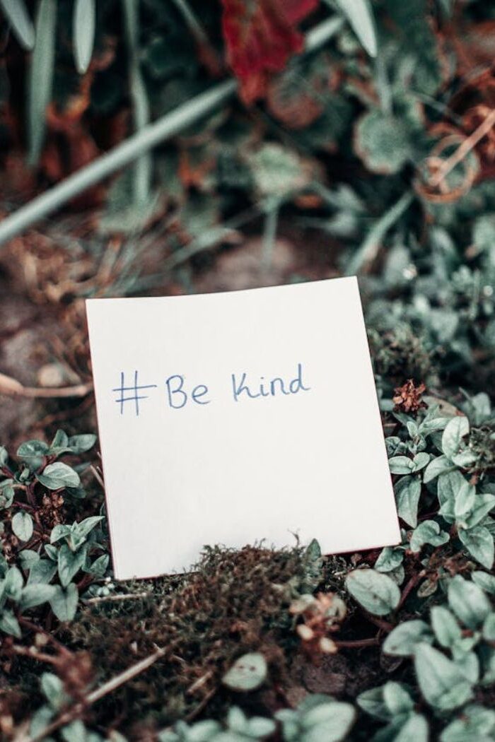 #JSS; Anybody Can Be Nice But Can You Be Kind?